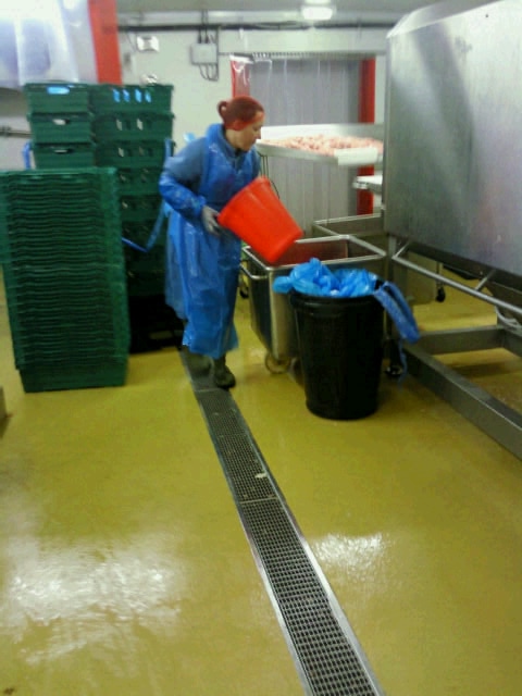 Anti-Slip Floors in the Food industry
